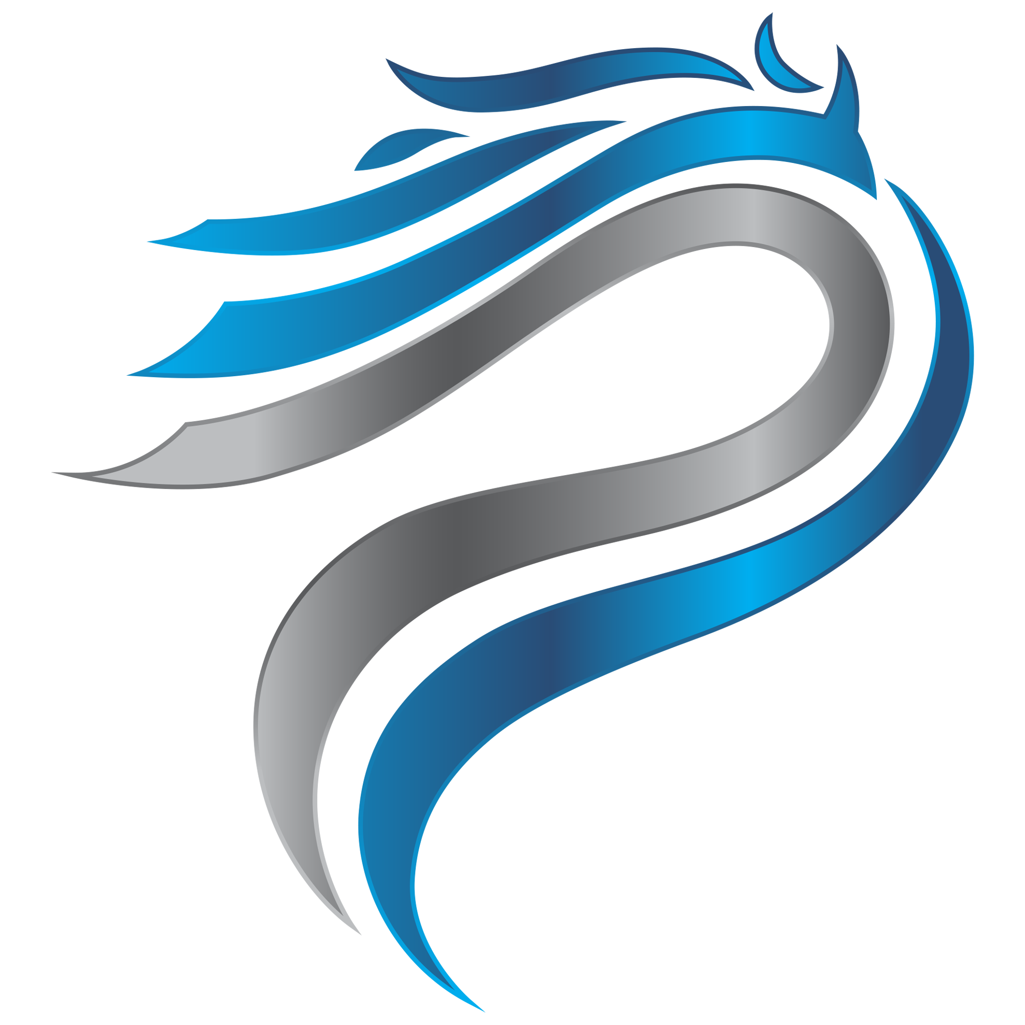 Ponny Productions Logo